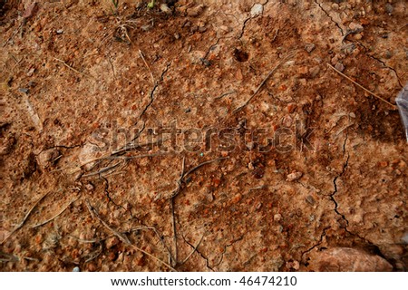 Grunge soil texture detail, cracked soil