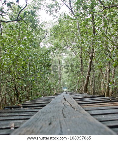 Mangrove Mangrove (Mangrove forest) ecosystem is composed of various types of plant and animal species living together in an environment that is clay.