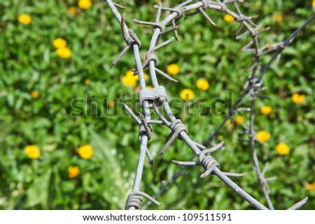 barbed wire , be a tool obstructs , be a fence will protect the thing to will come in in the boundary , or , place no take to permit , it is hindrance symbol especially