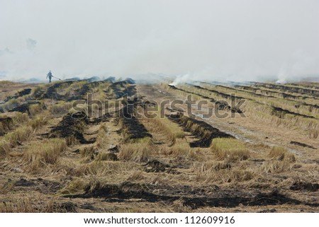 Burning of rice straw. Destructive nature of the agricultural knowledge of the danger. Air pollution can cause damage. Many crop losses.