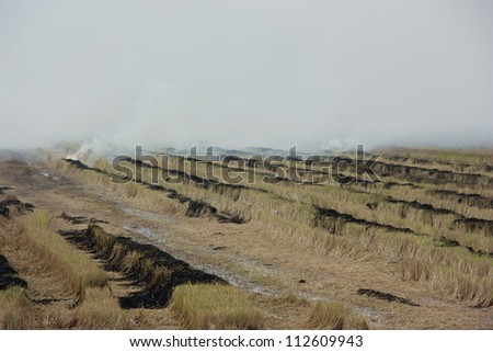 Burning of rice straw. Destructive nature of the agricultural knowledge of the danger. Air pollution can cause damage. Many crop losses.