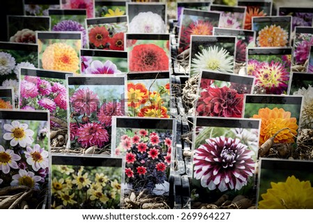 BERLIN, GERMANY - APRIL 10, 2015: Flower stall at botanischer Garten, botany garden. Every year in springtime there is a big flower market.