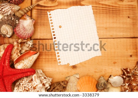 A blank piece of paper with shells