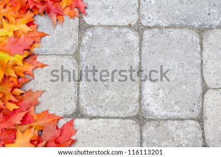 Fall Oak Tree Leaves Border Over Stone Bricks Paver Patio