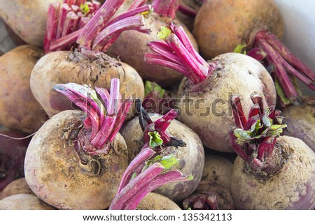 Beets or Beetroots at Farmers Market Closeup Background