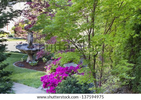 Coral Bark Japanese Maple Tree in Front Law with Water Fountain and Blooming Pink Azalea Flowers
