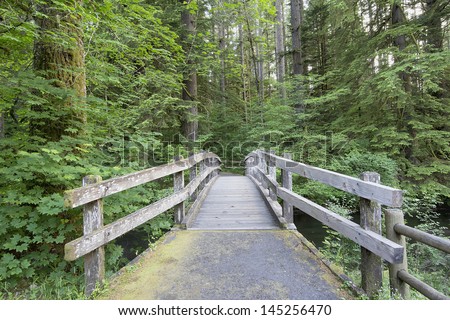Wooden Foot Bridge Along Hiking Trail in Silver Falls State Park Oregon