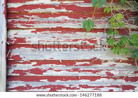 Old Red Barn with Peeling Paint on Wood Siding and Climbing Vines Grunge Background