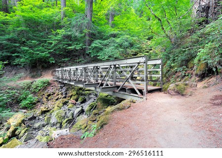 Pedestrian Bridge at Falls Creek Hiking Trail in Gifford Pinchot National Forest Washington