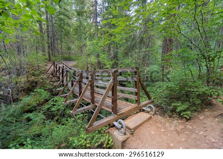 Suspension Bridge Over Falls Creek in Gifford Pinchot National Forest Hiking Trail in Washington State