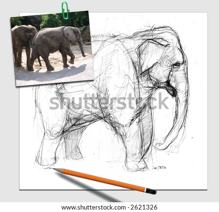 drawing an elephant from a photo reference.