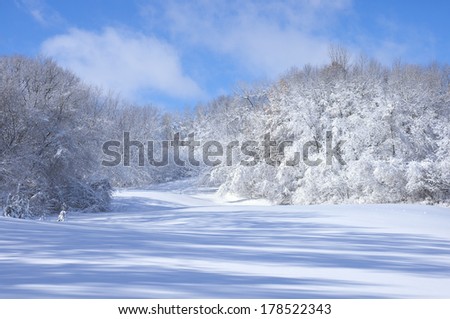 Marthaler Park hills covered with fresh fallen snow in West Saint Paul Minnesota