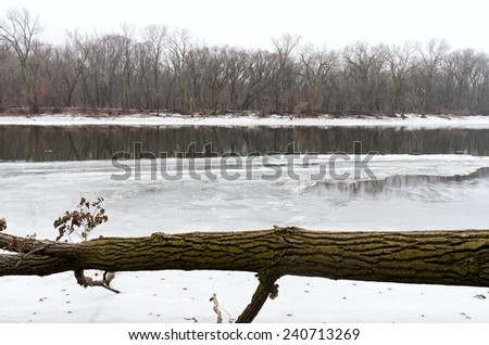 Icy waters of mississippi river and fallen tree at crosby farm park in saint paul minnesota