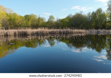 Pond and tree-lined marsh with reeds at nature center in west saint paul minnesota
