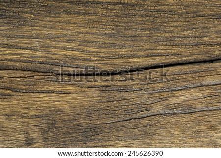 Texture of old wood with grain, used as background