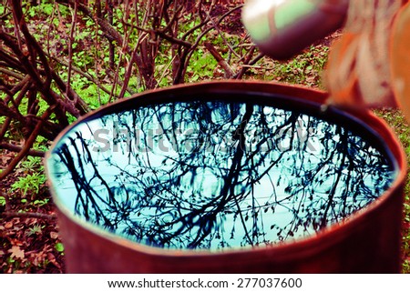 beautiful branches reflection on the water surface in rusted iron barrel