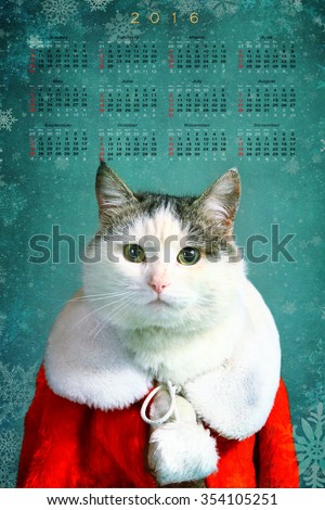 cool tom cat in santa claus garment mantel with white fur collar 2016 calendar with month net and snow flakes