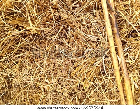After harvest, rice straw and wood, asia thailand