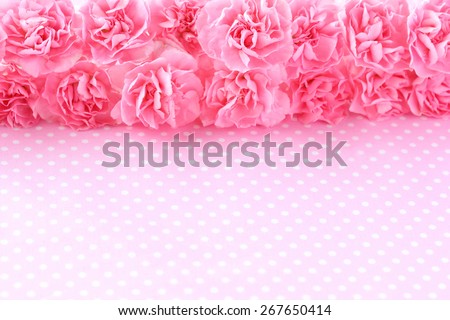 Pink carnation on pink polka dot