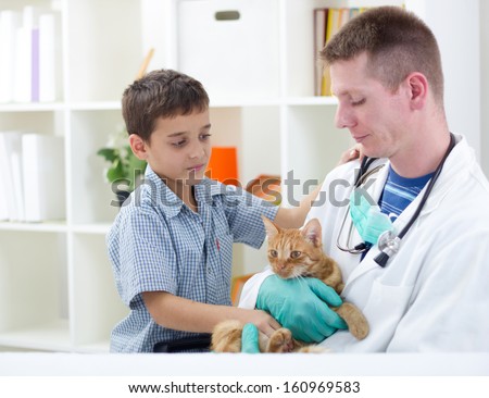 veterinarian holding a small cat, boy looking sad