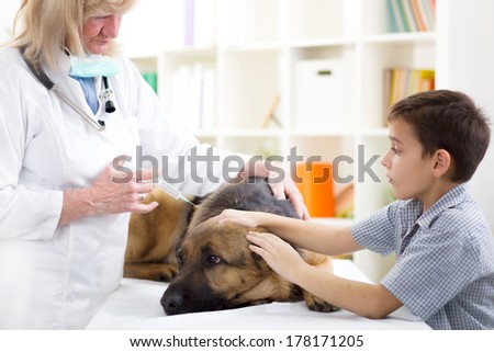 A vet injects vaccine into a German Shepherd  dog while a young boy caresses him.