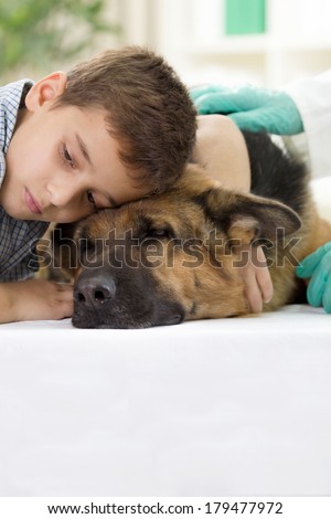 Dog and boy in veterinary clinic