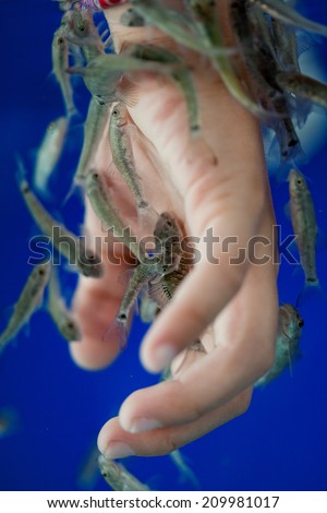Hand and finger skin care treatment in water with the fish rufa garra