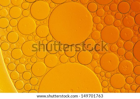 Colorful oil drops on a water surface