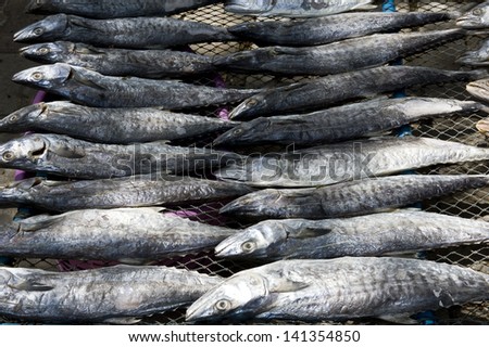 Fish drying in the sun. Dried salted fish.
