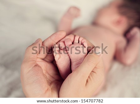 newborn baby feet in parents hands newborn baby feet in parents hands
