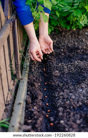 A woman planting seeds in the garden