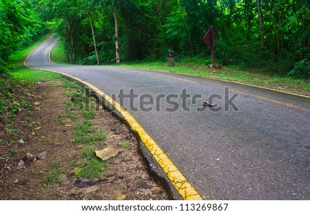 Curved road with trees on both sides