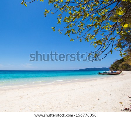 beach and tropical sea sand of Phi Phi Island Andaman Sea Krabi  Province  Southeast Asia Thailand