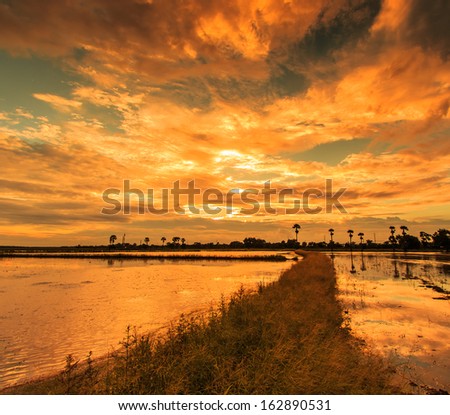 Silhouettes landscape view sunset Water reflection