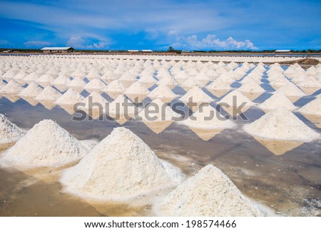 Salt fields - sea salt in Thailand