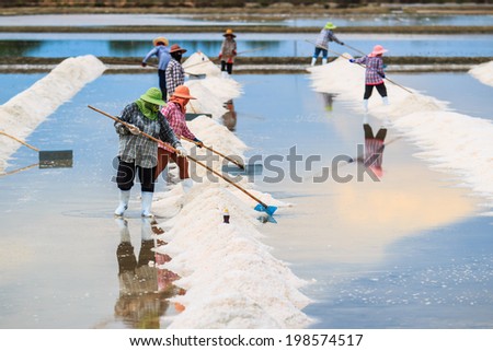 Salt fields - sea salt in Thailand