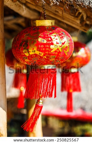 Lantern and New Year - Chinese red lantern,for celebrate spring