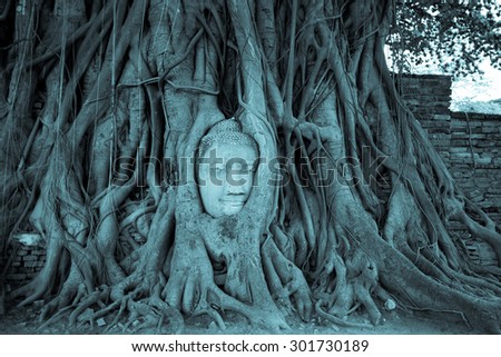 face of Buddha statue in the tree roots at Wat Mahathat temple, Thailand
