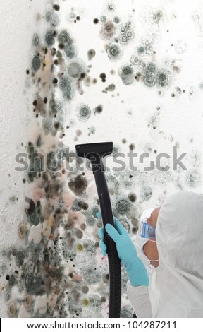 Professional man in protective clothing using a mechanical cleaner or steamer to clean mold growth off a wall of a house
