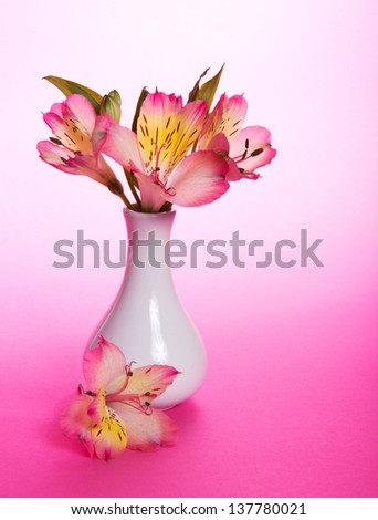 Bouquet of alstroemeria flowers in vase  on a pink background