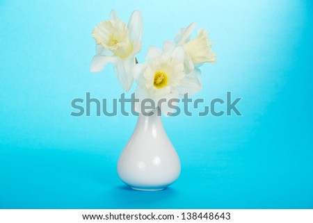 Bouquet of gentle, spring, white narcissuses in a ceramic vase, on a blue background