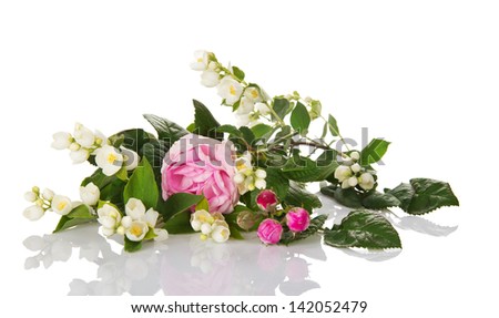 Jasmine branch, tea-rose and the buds of a rose isolated on white