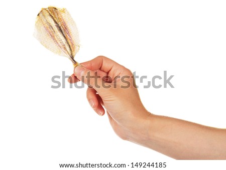 Dried salted fish for beer in a hand isolated on white