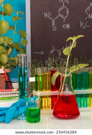 Chemical flasks with experimental liquid on blackboard background