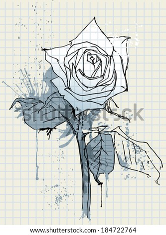 Hand drawing flower rose.