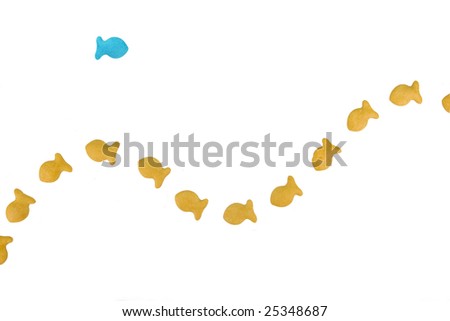 Fish stands out from crowd