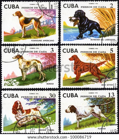 Cuba - CIRCA 1976: stamp printed in Cuba, shows series hunting dogs, circa 1976.