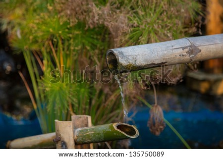 Bamboo and water fountain.