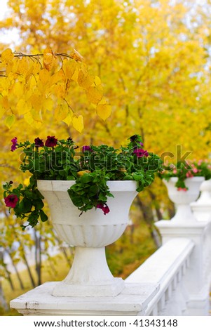 Fence with a flower pots in autumn park.