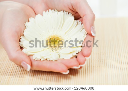 Woman\'s hands holding flower - Beautiful woman hand with french manicure holding flower. Close-up.
